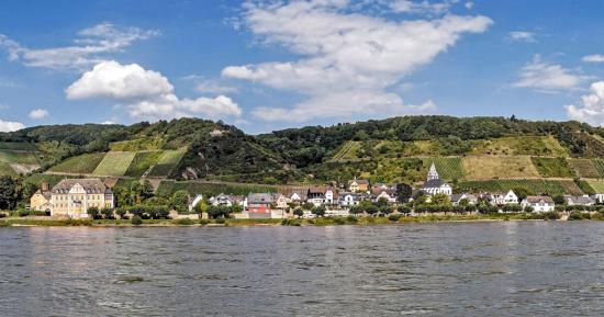 Rhine and Moselle River - Bus Charter and River Cruise!